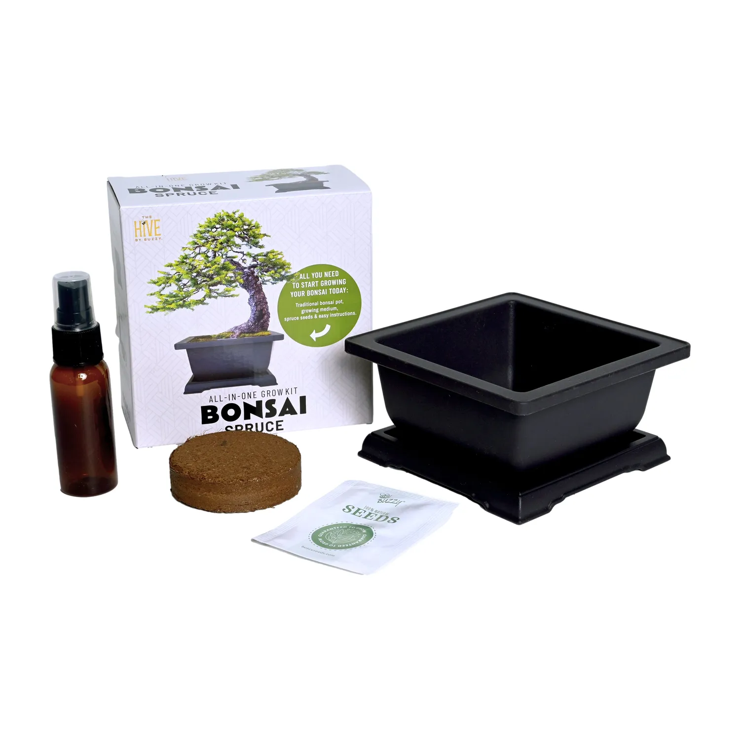 Buzzy Seeds Spruce Bonsai dyrkningssæt komplet med krukke
