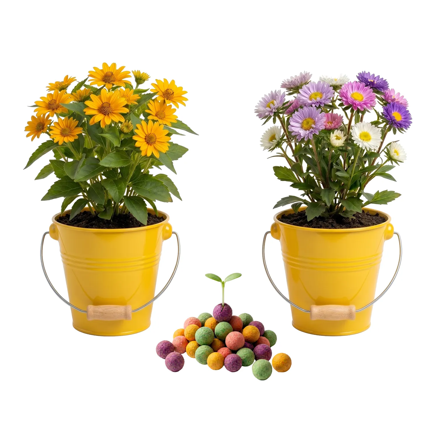 Buzzy Seeds Pollinator frøkugler spand bundle