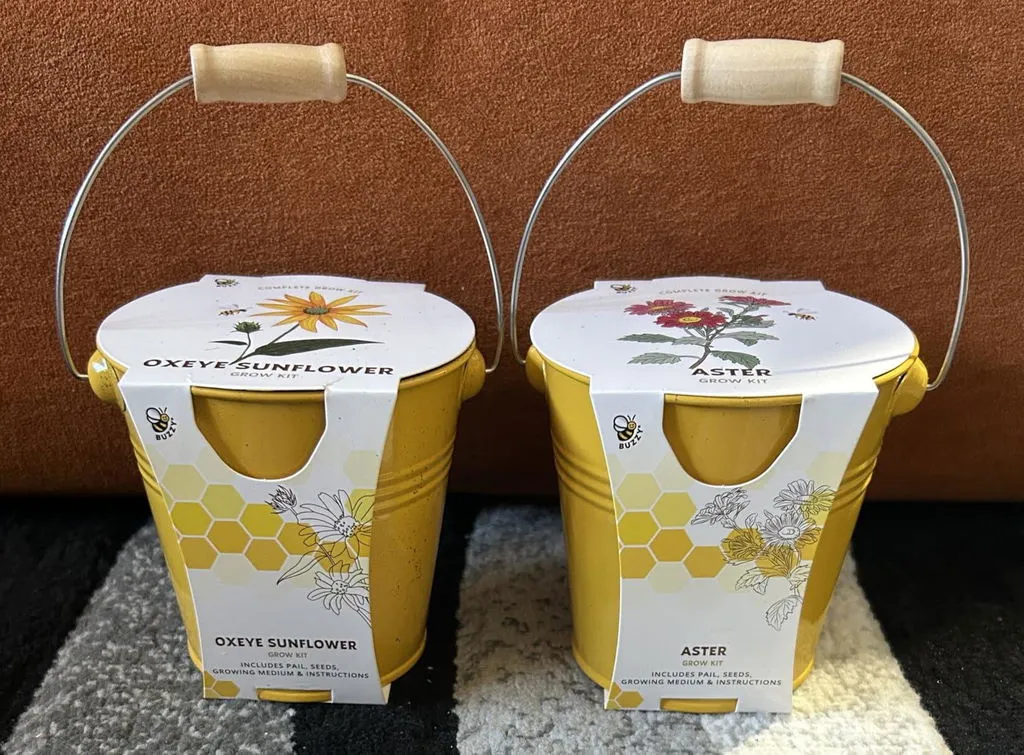 Buzzy Seeds Pollinator frøkugler spand bundle