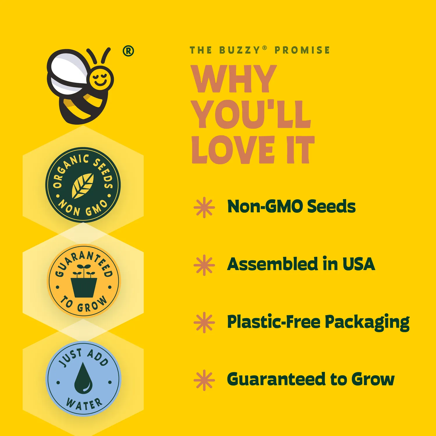 Buzzy Seeds Pollinator frøkugler spand bundle