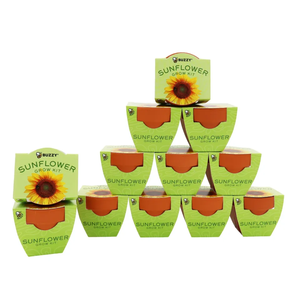 Buzzy Seeds Bright Solsikke dyrkningssæt terracotta 12-pak