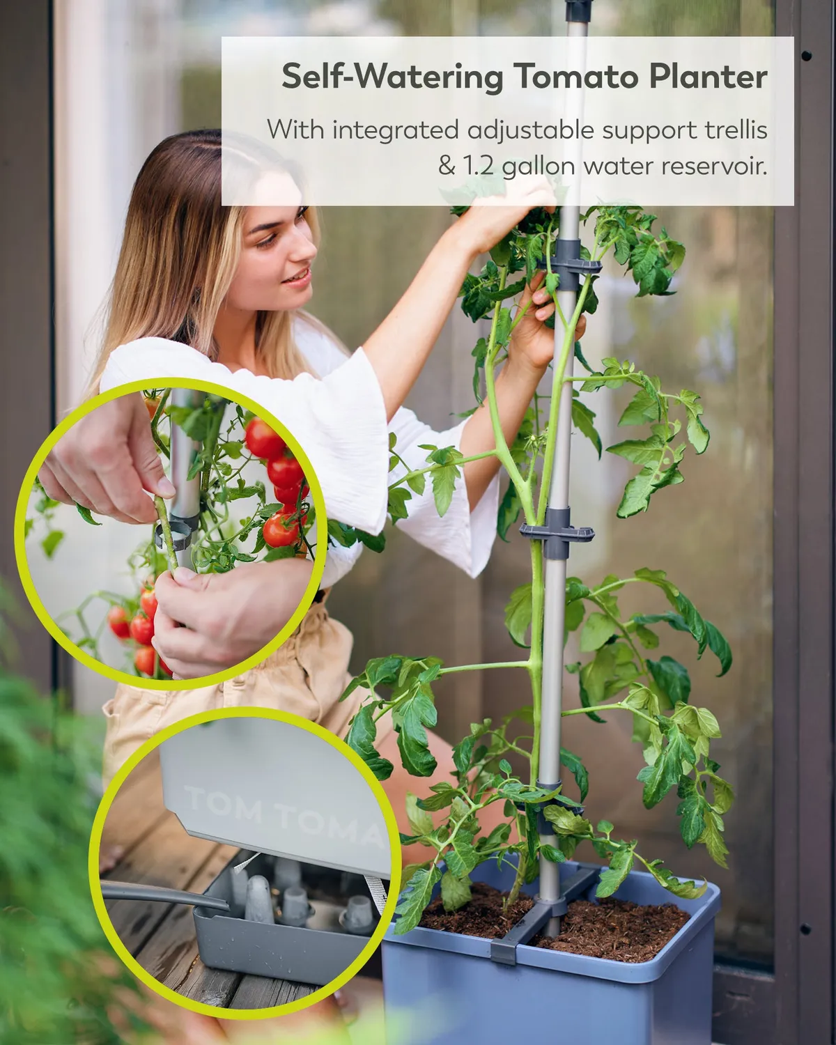 Buzzy Seeds selvvandende tomatpotte med espalier grøn
