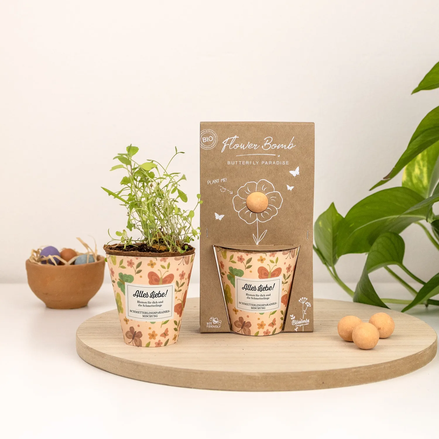 Blossombs Grow Kit dyrkningssæt Alles Liebe sommerfugleblanding