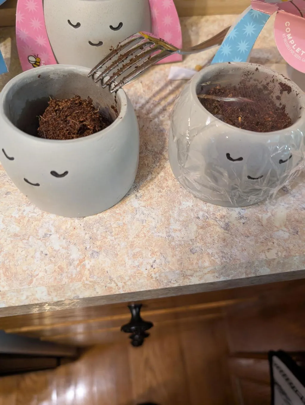 Buzzy Seeds Peaceful Pot dyrkningssæt kamille 1 potte
