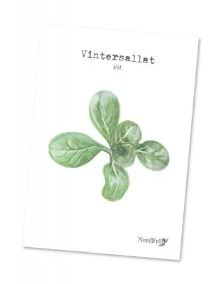 NordFrö Kort A5 Vit postkort vintersalat akvarel