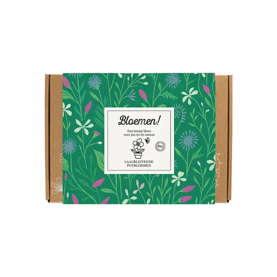 Blossombs Gift Box Small frøbomber 7 stk lav