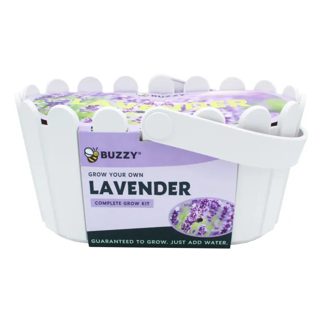 Buzzy Seeds Lavender dyrkningssæt hvid kurv duftende