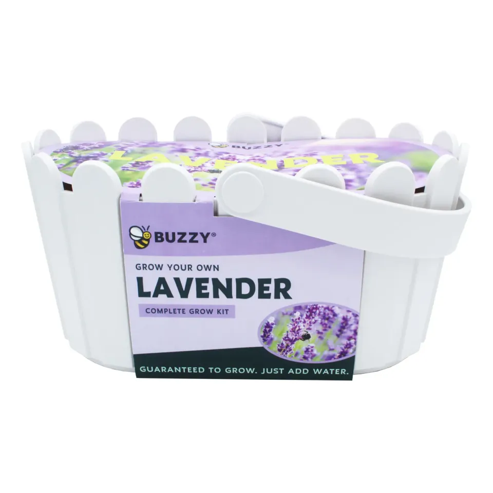 Buzzy Seeds Lavender dyrkningssæt hvid kurv duftende