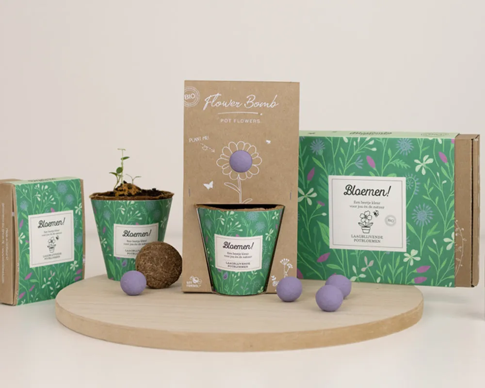 Blossombs Grow Kit Bloemen dyrkningssæt lav mix bivenlig
