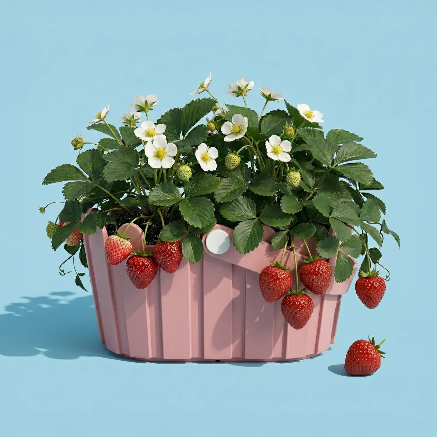 Buzzy Seeds Strawberry Grow Kit dyrkningssæt lyserød kurv