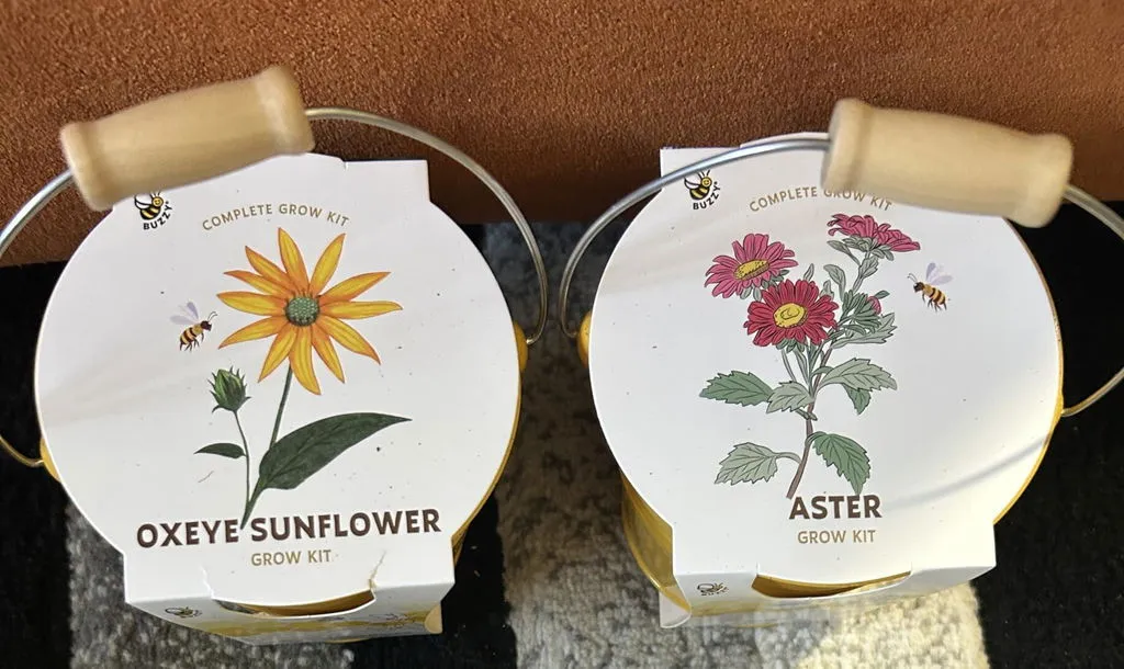 Buzzy Seeds Pollinator frøkugler spand bundle