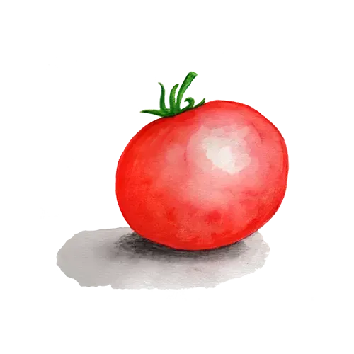 NordFrö Mongolian Dwarf tomatfrø micro-bush