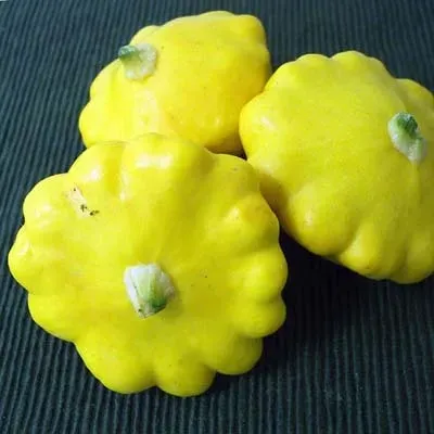 Natureseeds Sunburst F1 squashfrø 8 stk gul