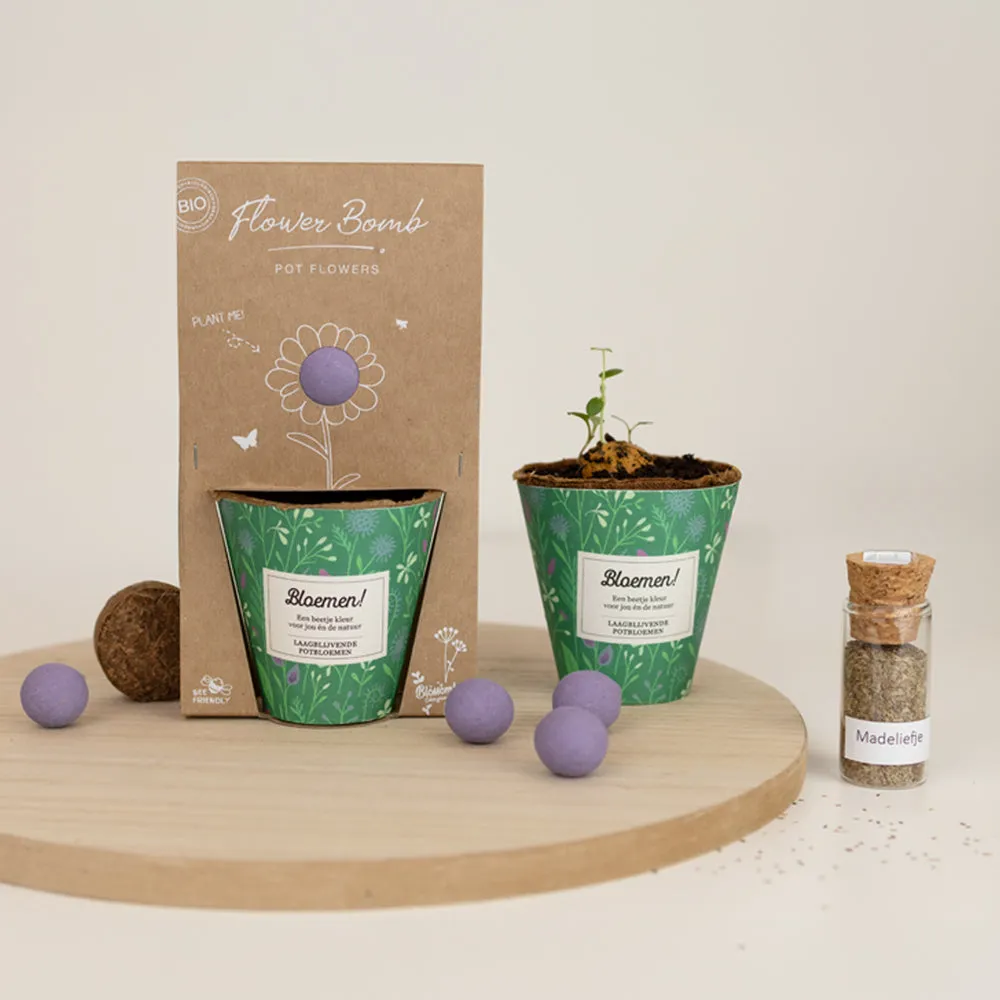 Blossombs Grow Kit Bloemen dyrkningssæt lav mix bivenlig
