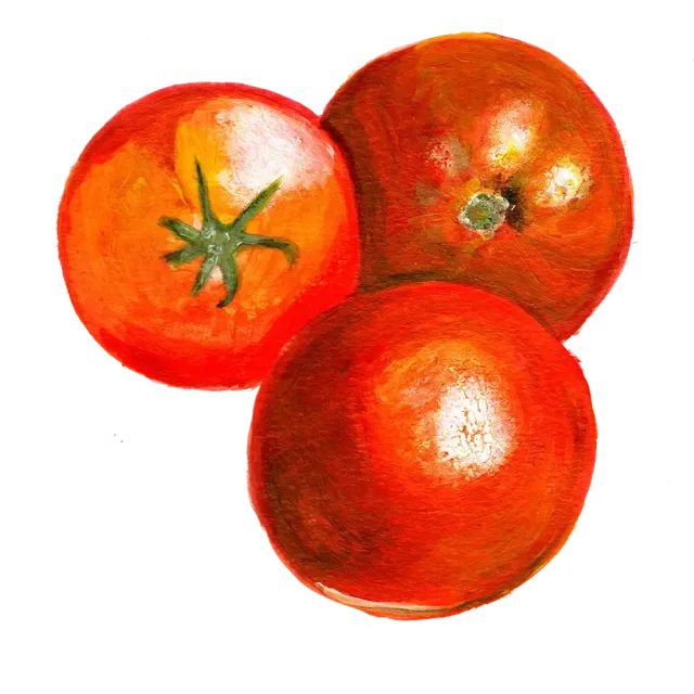 NordFrö Gem State tomatfrø – tidlig rød busktomat