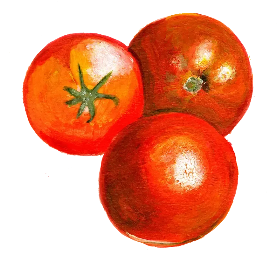 NordFrö Gem State tomatfrø – tidlig rød busktomat