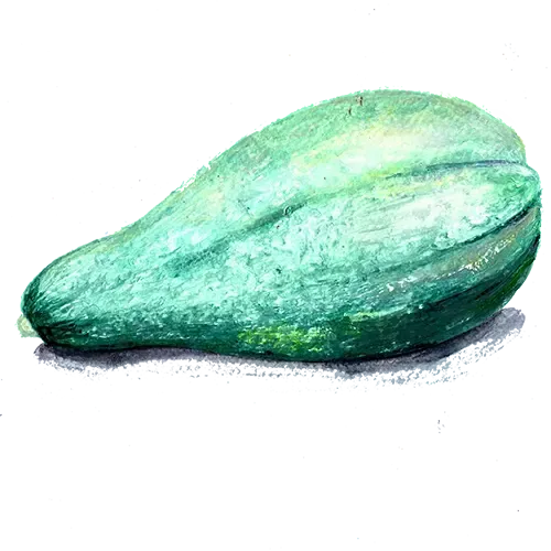 NordFrö Blue Banana squashfrø blågrøn med orange kød
