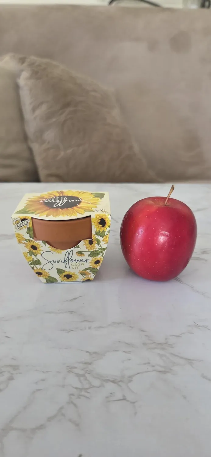 Daydream Mini Terracotta dyrkningssæt 6-pak blomster kaktus