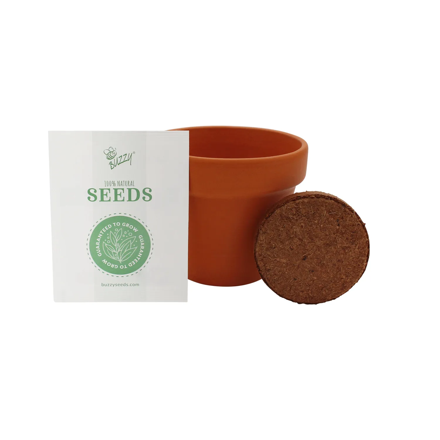 Buzzy Seeds Christmas Tree To Be dyrkningssæt 4 potter
