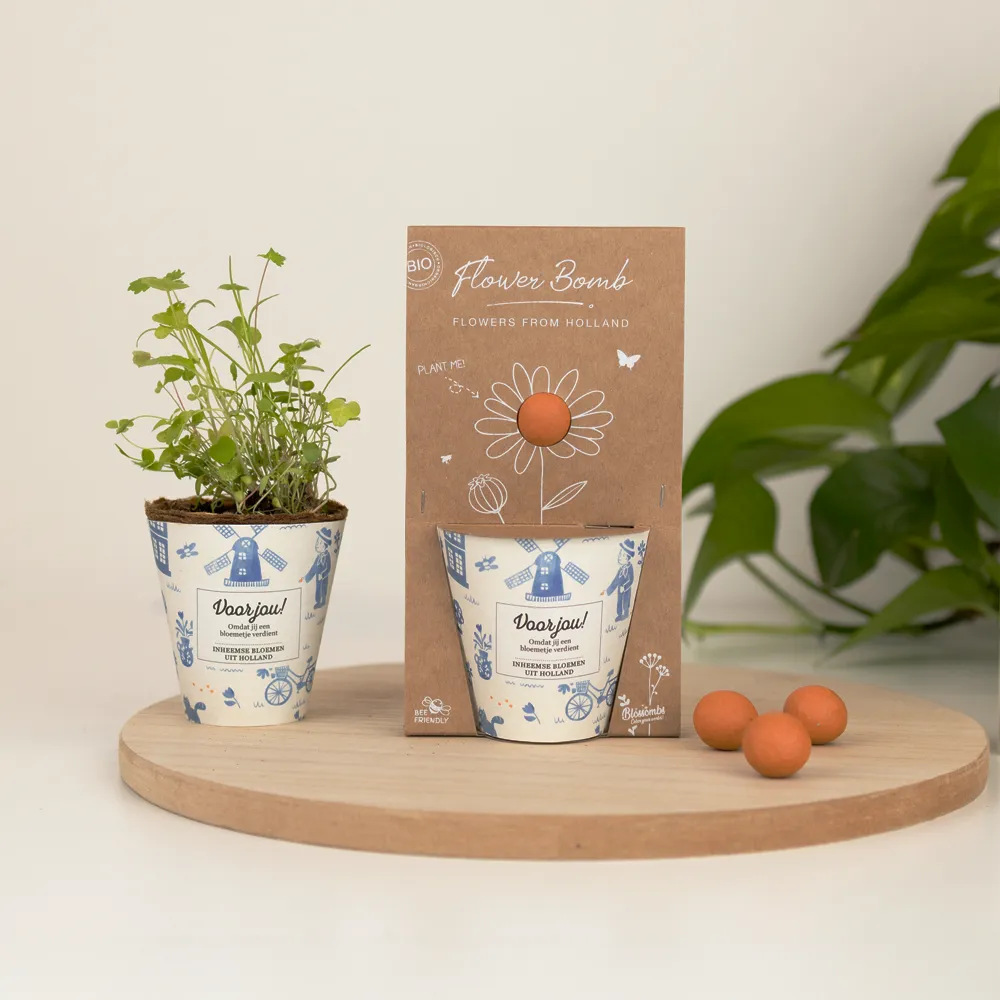 Blossombs Grow Kit Voor Jou dyrkningssæt hollandsk mix bivenlig