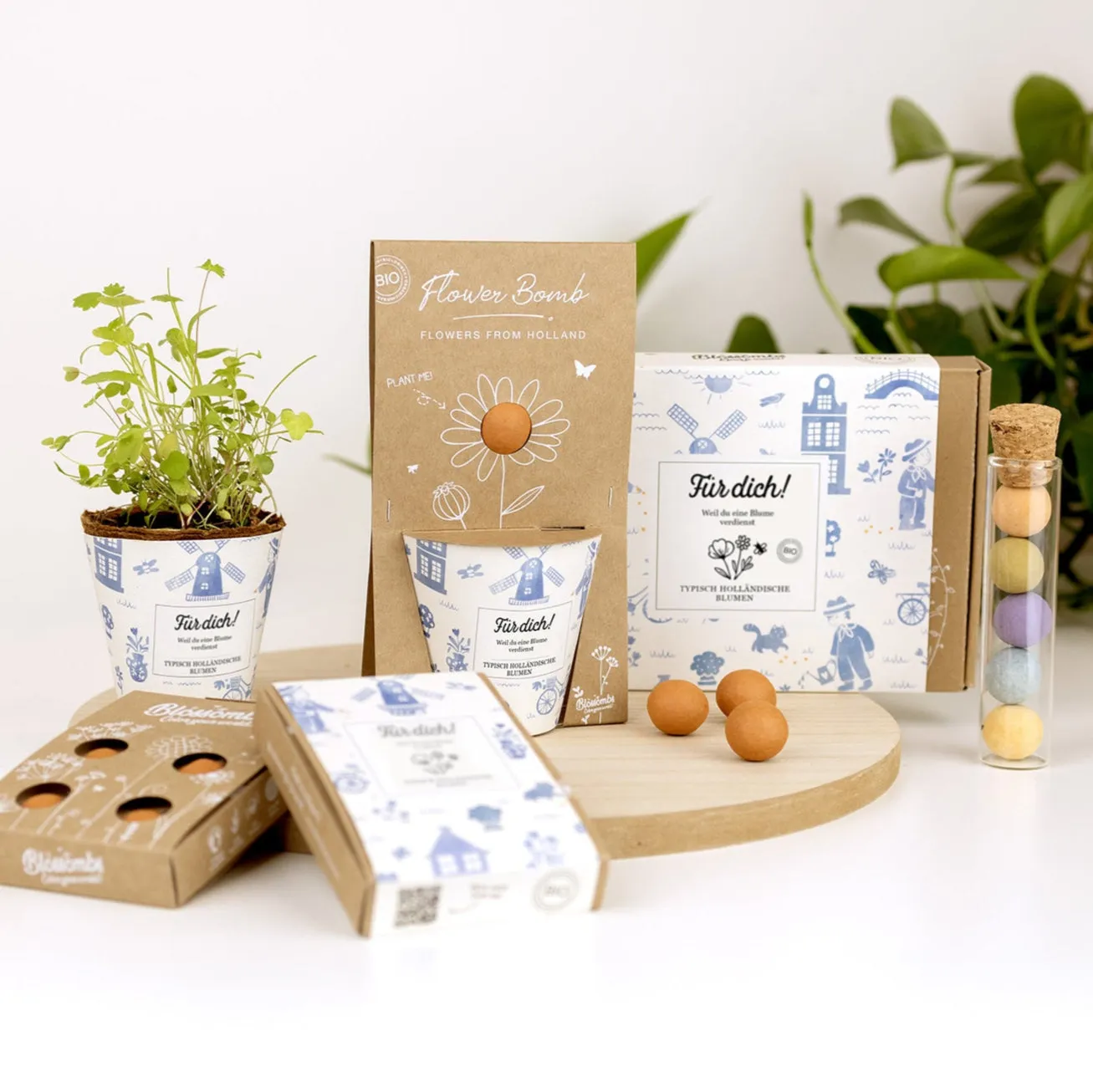 Blossombs Grow Kit Für dich dyrkningssæt hollandsk mix