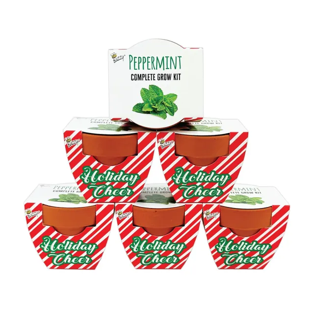 Buzzy Seeds Pebermynte dyrkningssæt 6 mini terracotta