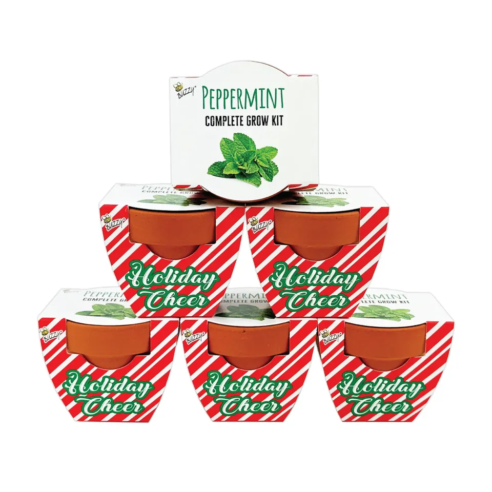 Buzzy Seeds Pebermynte dyrkningssæt 6 mini terracotta