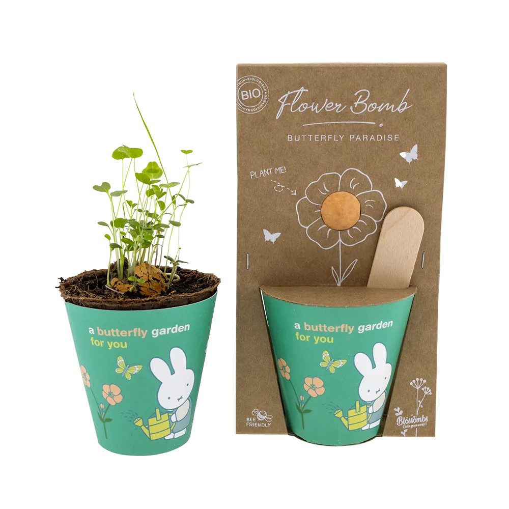 Miffy Butterfly Garden dyrkningssæt frøbombe sommerfugle