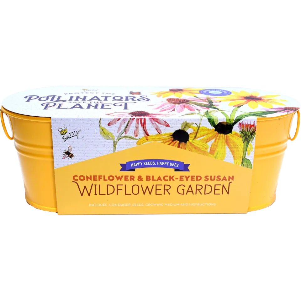 Buzzy Seeds Pollinator solhat rudbeckia dyrkesæt