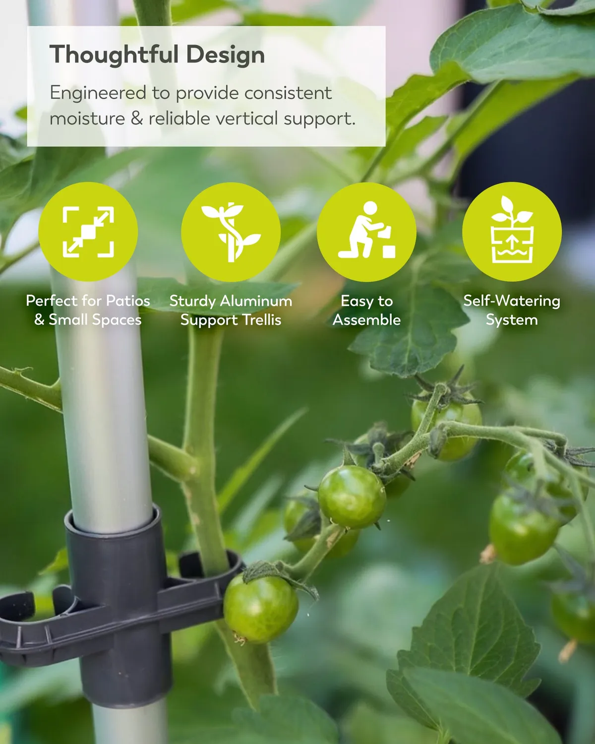 Buzzy Seeds selvvandende tomatpotte med espalier grøn