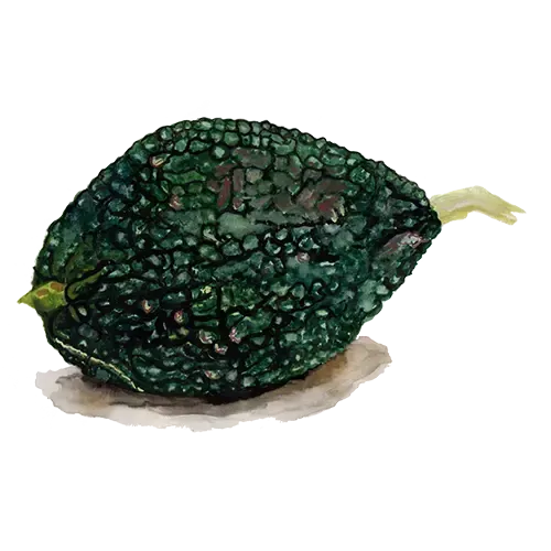 NordFrö Green Hubbard græskarfrø vinter 6 kg
