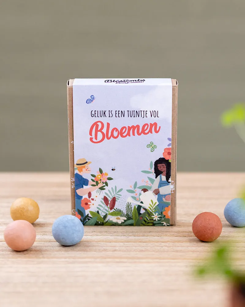 Blossombs Gift Box Mini frøbomber 4 stk held