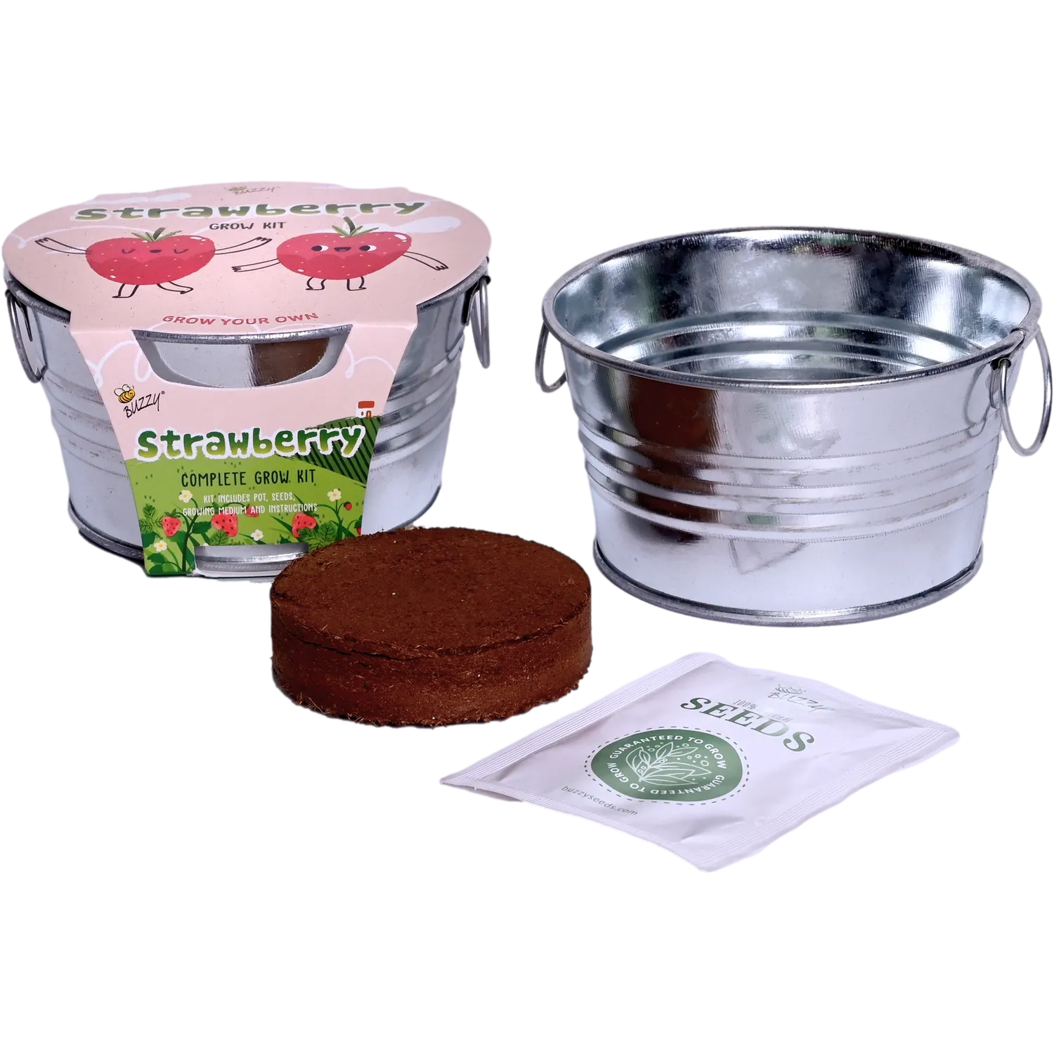 Buzzy Seeds Kids Strawberry dyrkningssæt mini basin jordbær