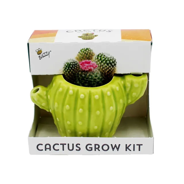 Buzzy Seeds Cactus dyrkningssæt 4-pak keramikpotter