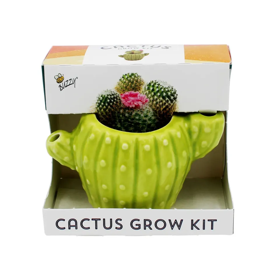 Buzzy Seeds Cactus dyrkningssæt 4-pak keramikpotter