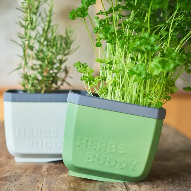 Buzzy Seeds selvvandende urtepotter 3-pak grøn