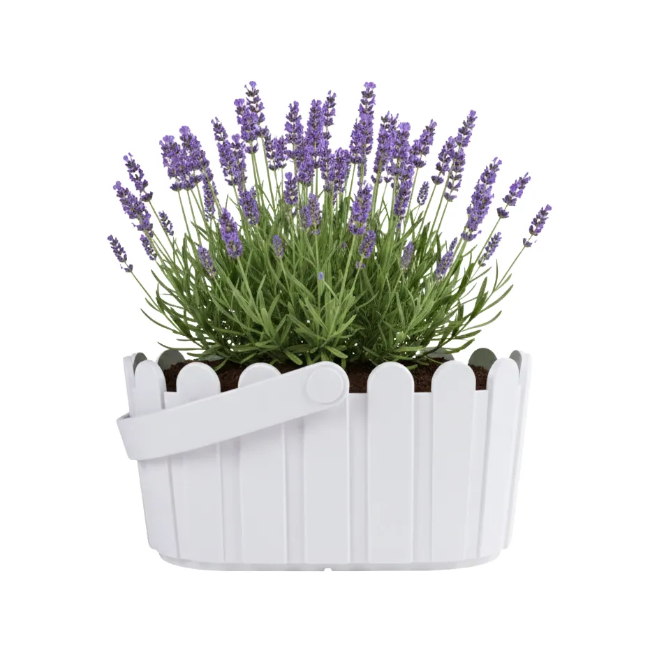 Buzzy Seeds Lavender dyrkningssæt hvid kurv duftende