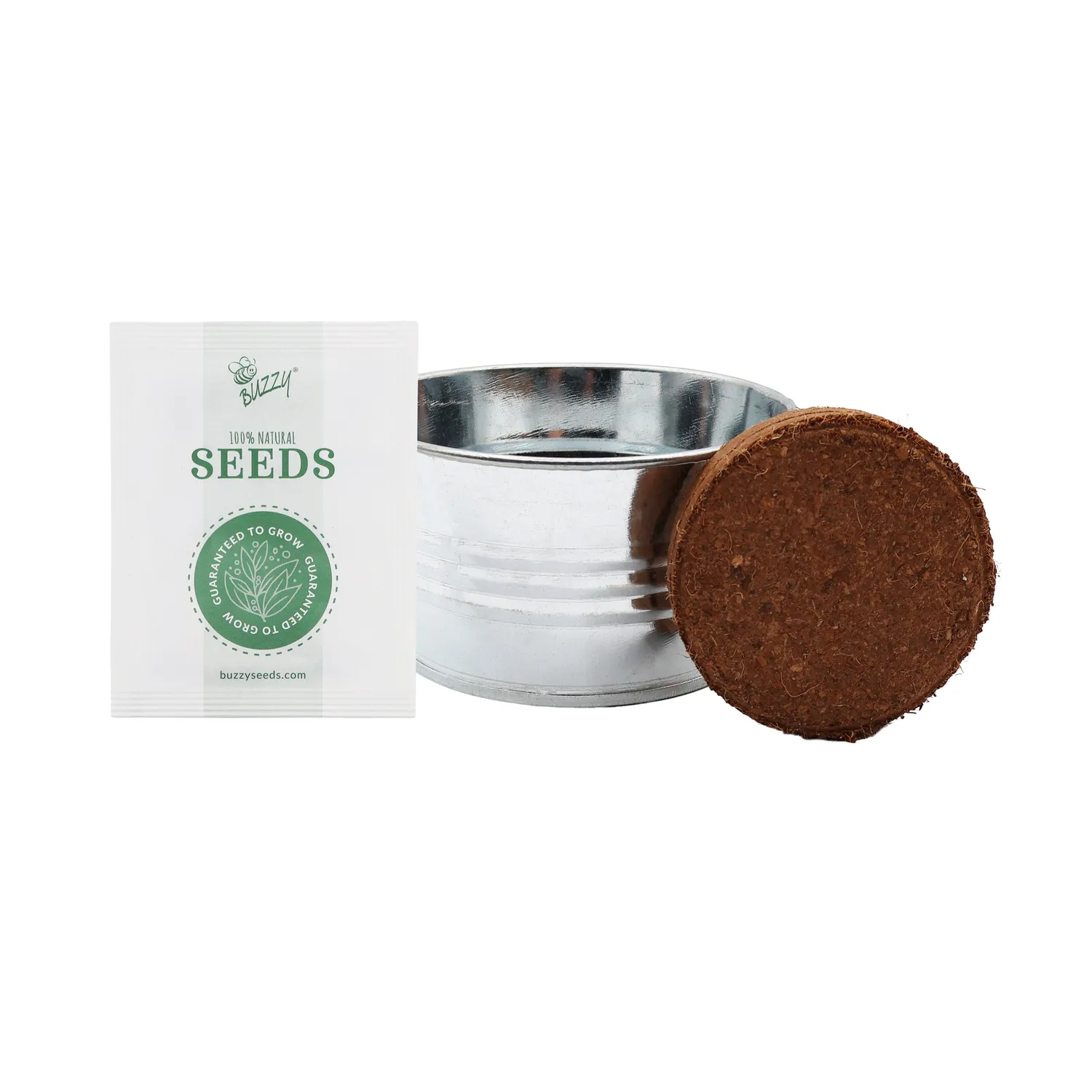 Buzzy Seeds Mini Basin Trio dyrkningssæt 3-pak kaktus