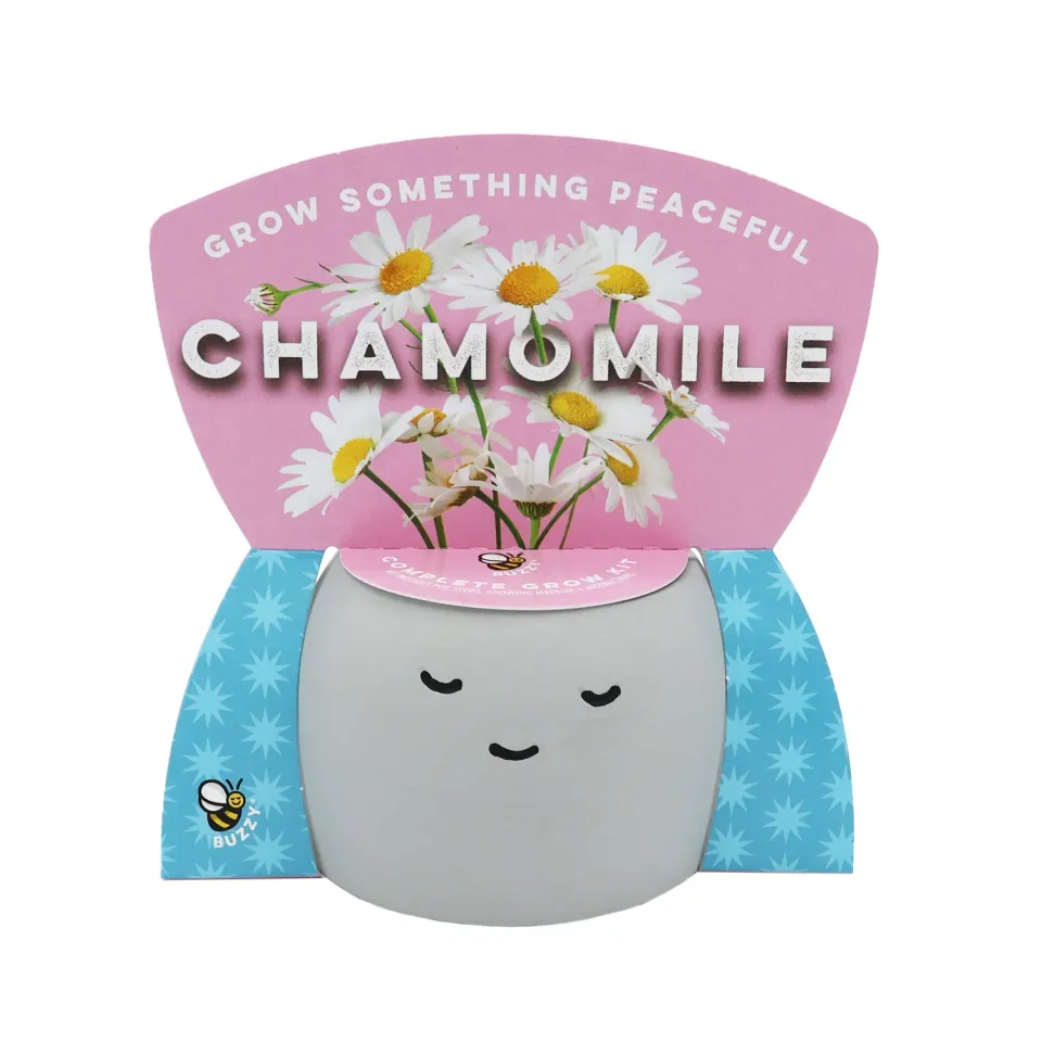 Buzzy Seeds Peaceful Pot dyrkningssæt kamille 1 potte