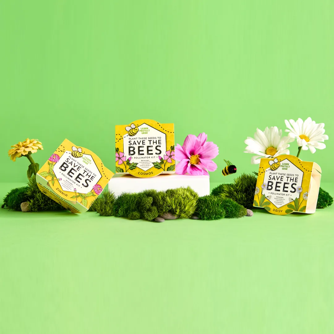 Buzzy Seeds Save the Bees dyrkningssæt 12-pak bivenlige blomster