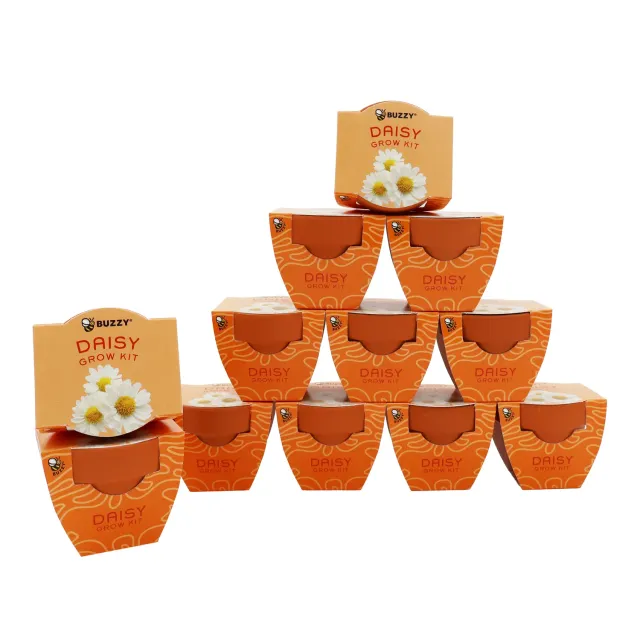 Buzzy Seeds Bright Mini Terracotta dyrkningssæt marguerit 12-pak