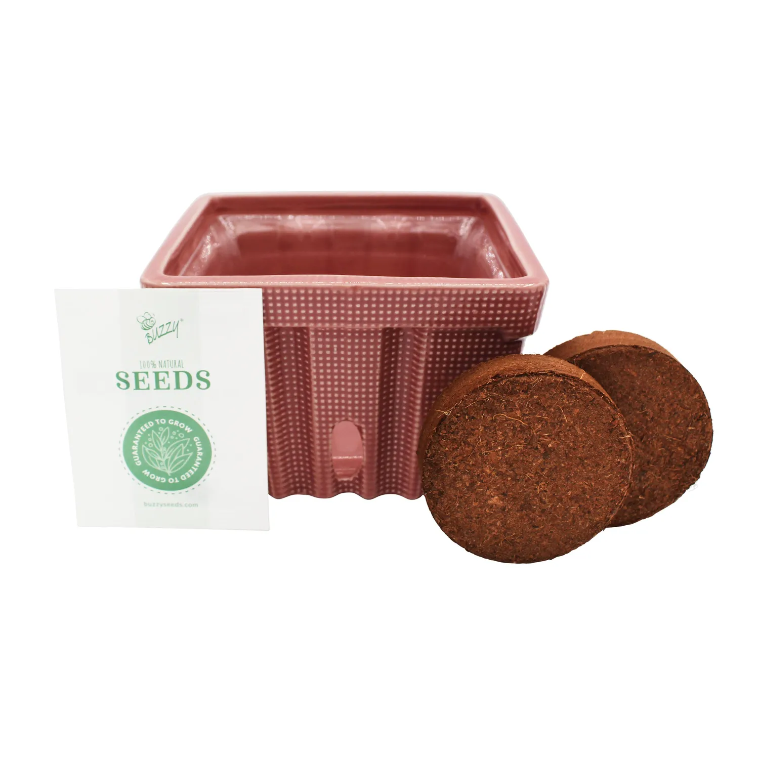 Buzzy Seeds Strawberry dyrkningssæt keramisk kurv alpine