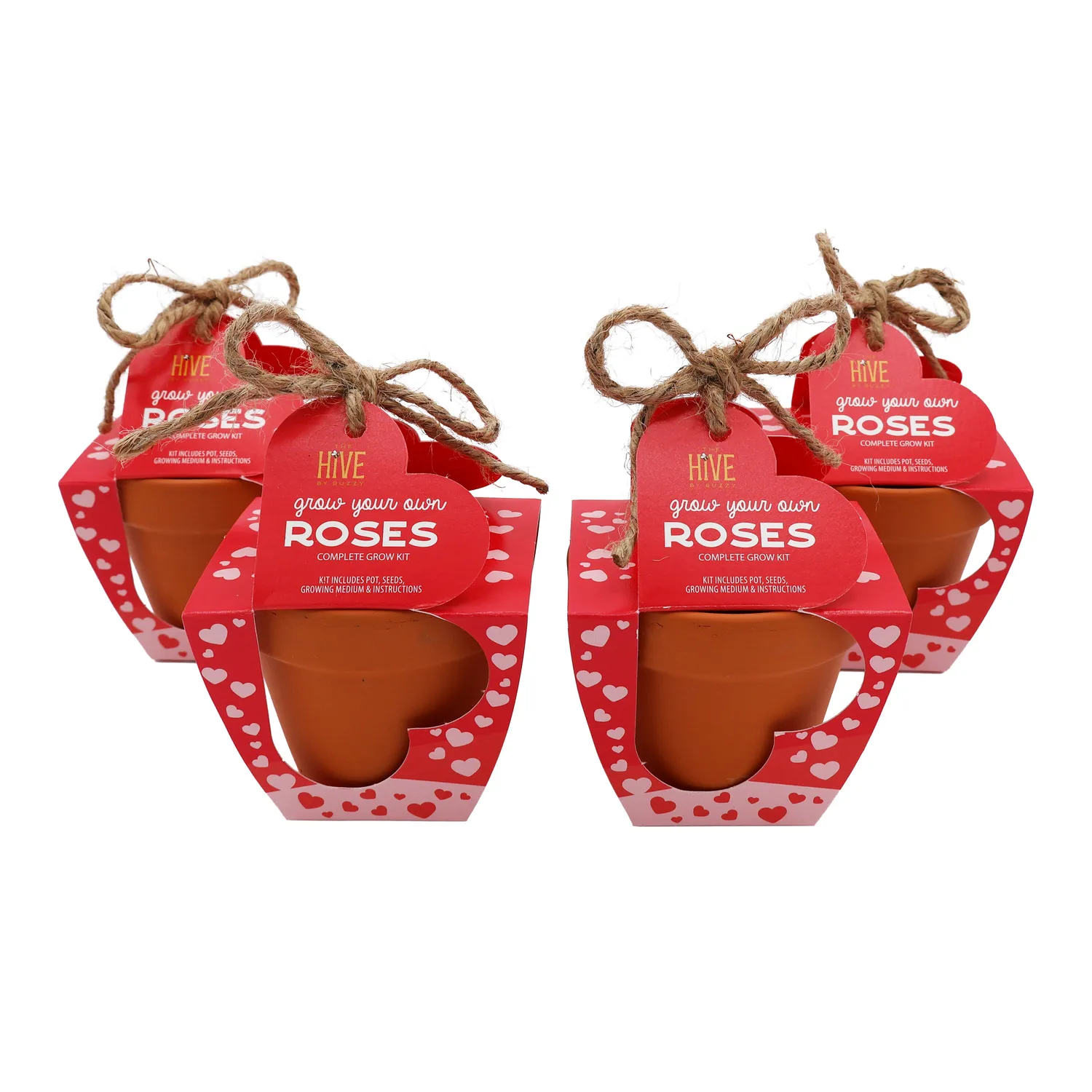 Buzzy Seeds Mini Rose dyrkningssæt terracotta 4-pak kærlighed