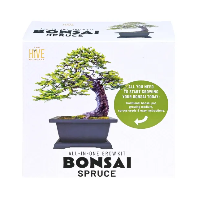 Buzzy Seeds Spruce Bonsai dyrkningssæt komplet med krukke