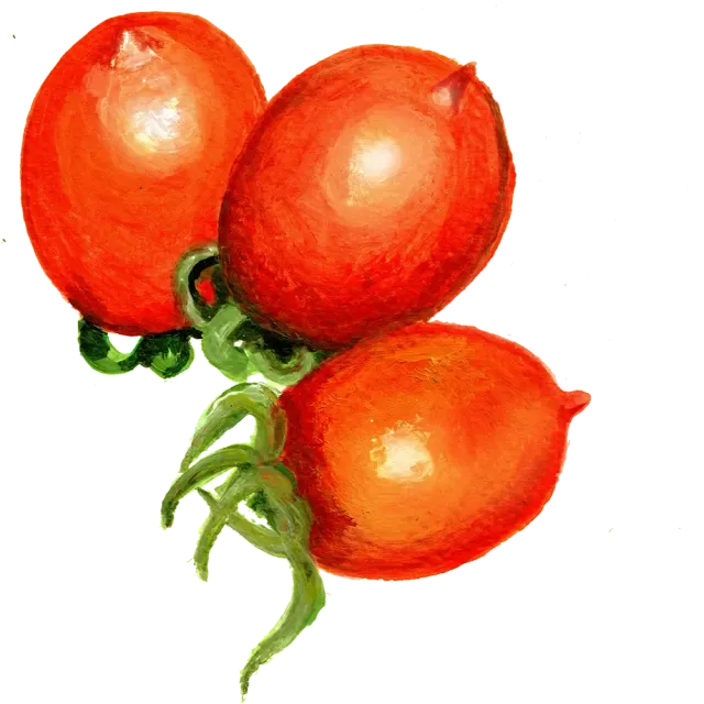 NordFrö Ruthje tomatfrø røde hjertetomater