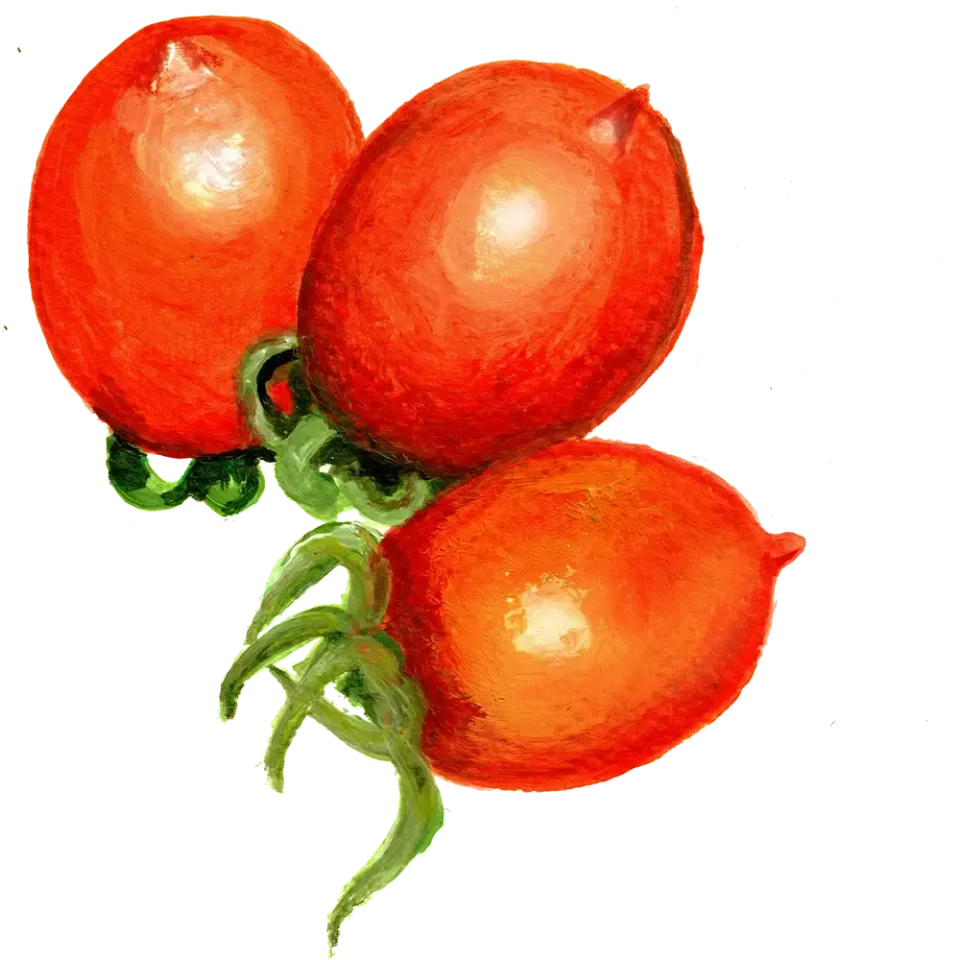 NordFrö Ruthje tomatfrø røde hjertetomater