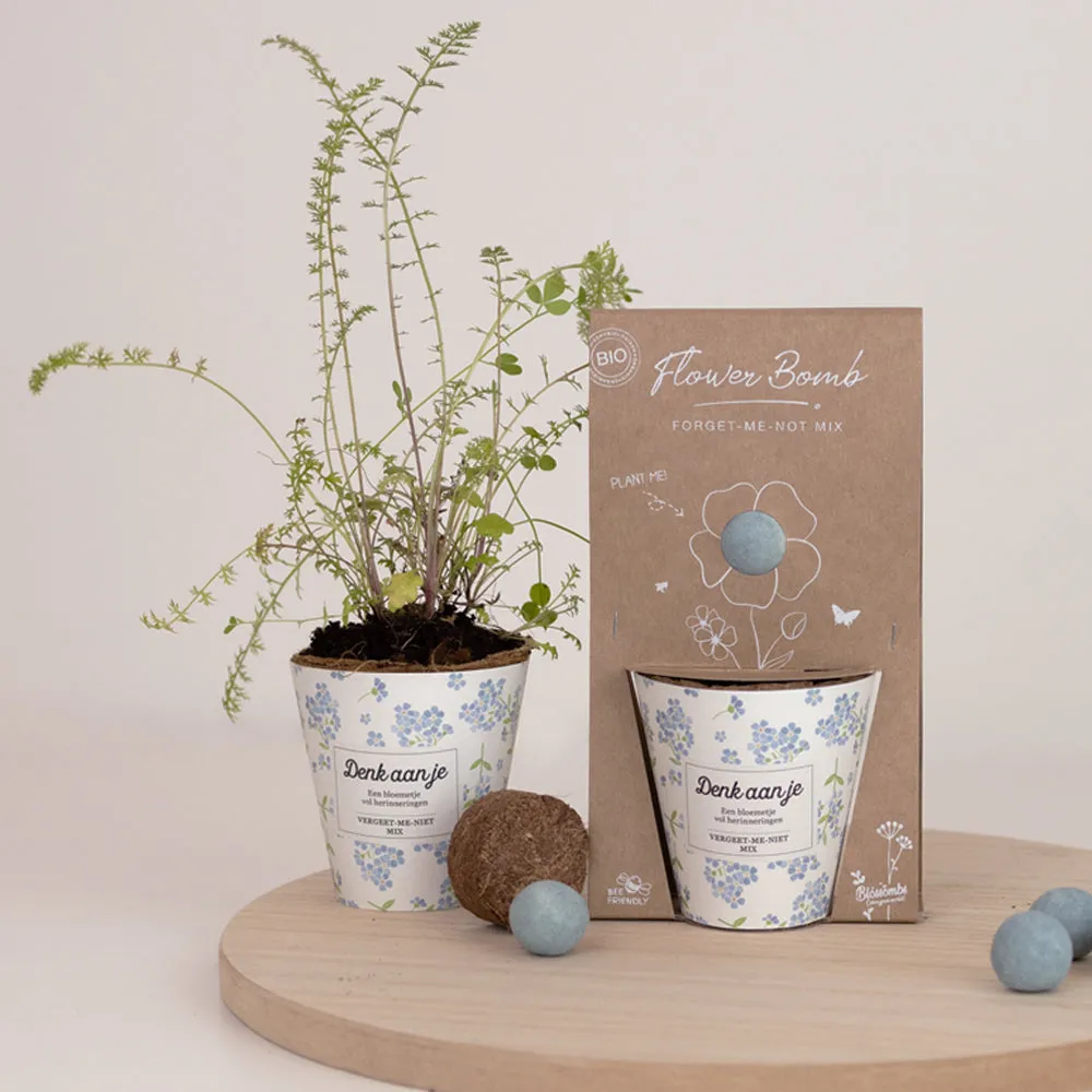 Blossombs Grow Kit Denk aan je dyrkningssæt forglem-mig-ej mix