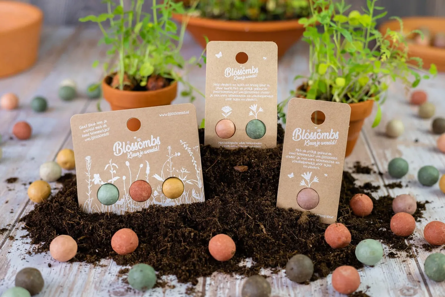 Blossombs gave frøbomber 2 stk vilde blomster