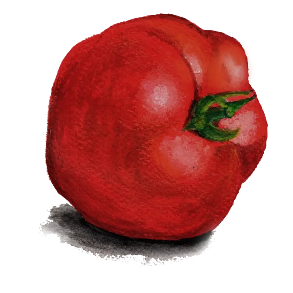 NordFrö Odessa tomatfrø – tidlig 120-180 g