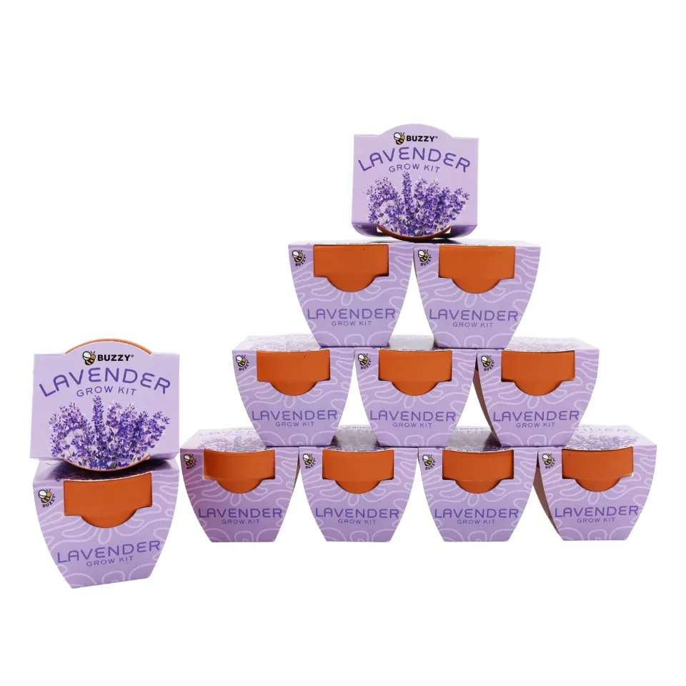 Buzzy Seeds Bright Mini Terracotta dyrkningssæt lavendel 12-pak